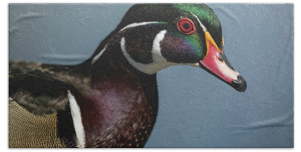 Wood Duck Beach Towel featuring the photograph This is my good side by Elvira Butler