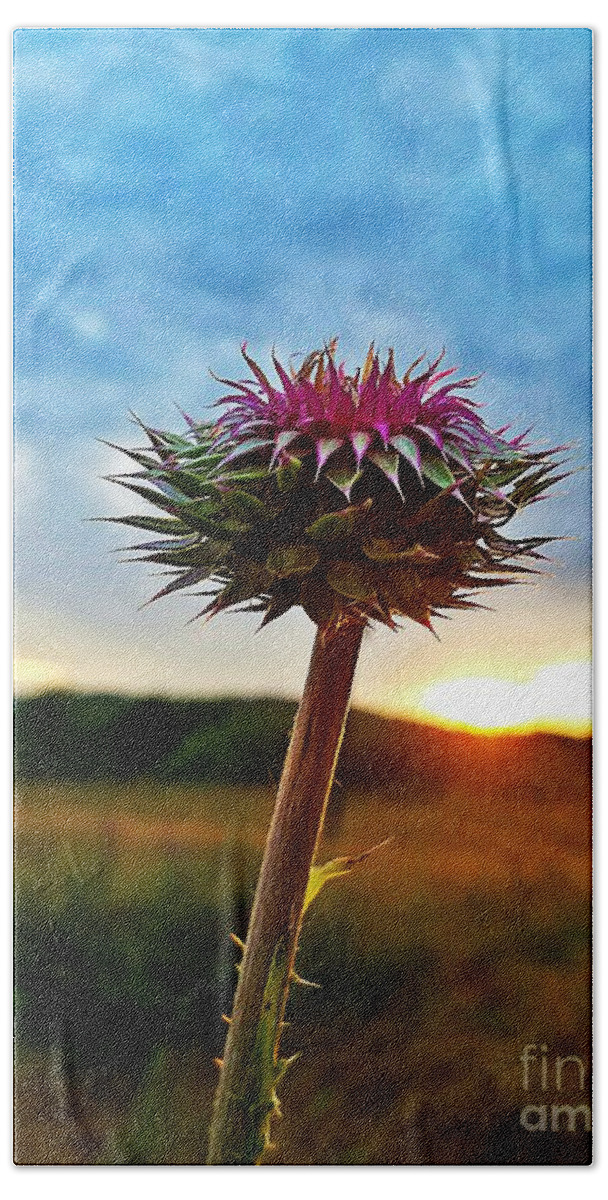 Thistle At Sunrise Beach Towel featuring the photograph Thistle at Sunrise by Maria Urso