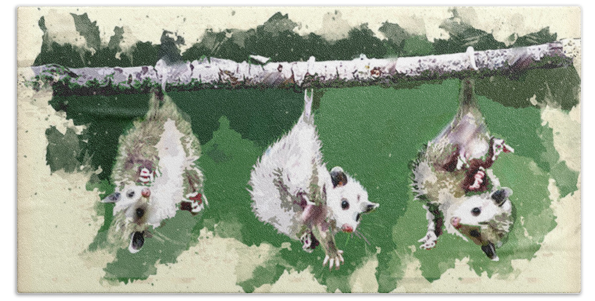Possum Beach Towel featuring the painting Three Baby Possums Hanging by Their Tails by Elaine Plesser