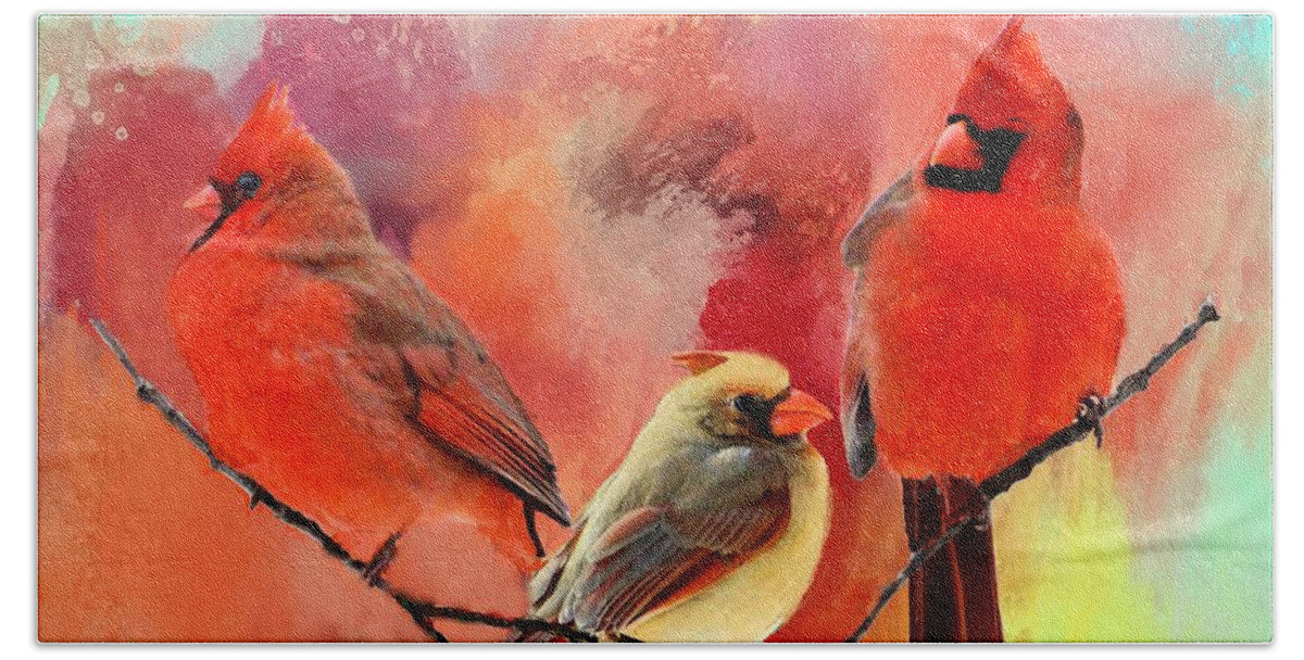 Northern Cardinal Beach Towel featuring the photograph Three Cardinals in Summer by Janette Boyd