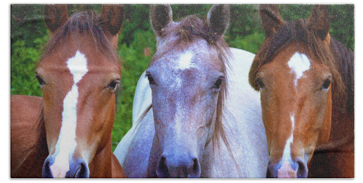 Horse Beach Towel featuring the photograph Three Friends by Michele A Loftus