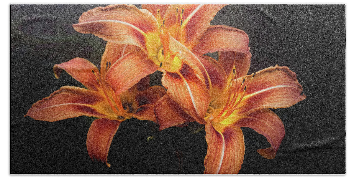 Lily Beach Towel featuring the photograph Three Lilies by Scott Norris