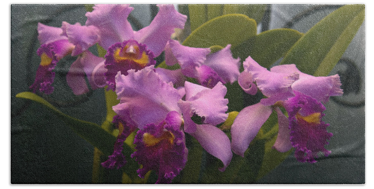 Lavender Orchids Beach Towel featuring the photograph Three Orchids by Sally Weigand