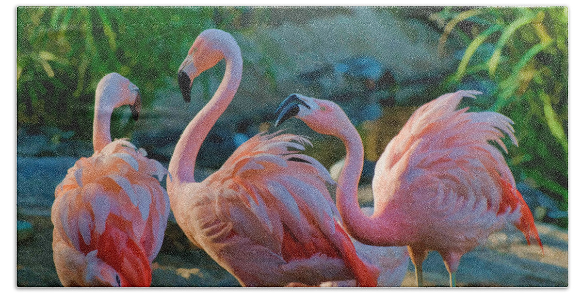 Pink Flamingos Beach Towel featuring the photograph Three Pink Flamingos Strutting Their Stuff by Ginger Wakem