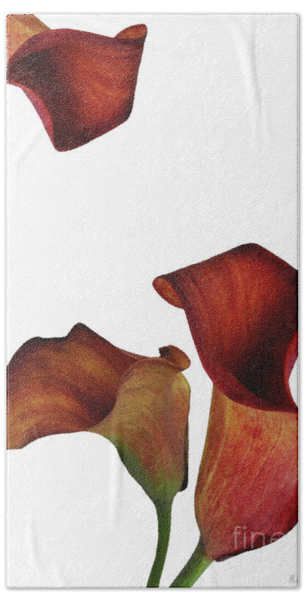 Rust Beach Towel featuring the photograph Three Rust Calla Lilies by Heather Kirk