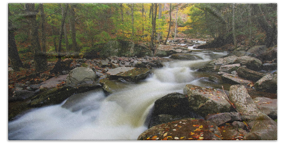 Fall Beach Towel featuring the photograph Three Seconds in Fall by Neil Shapiro