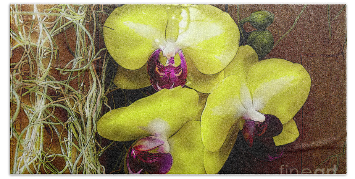 Flowers Beach Towel featuring the photograph Three Yellow Orchids by Deb Nakano