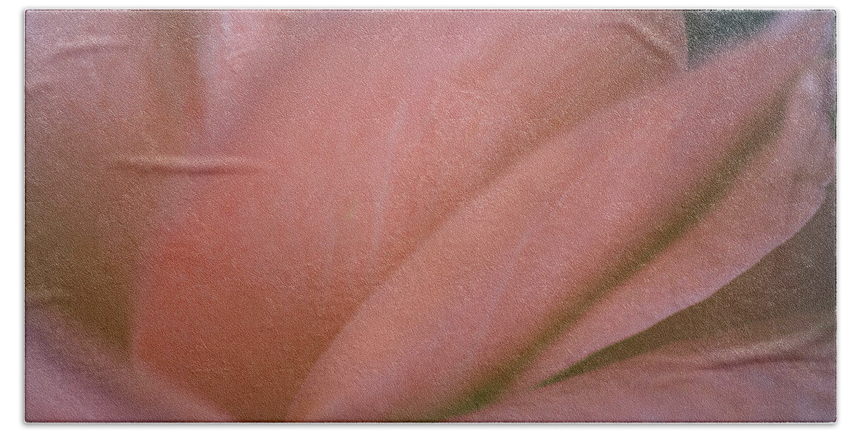 Roses Beach Sheet featuring the photograph Tierna Romantica by The Art Of Marilyn Ridoutt-Greene