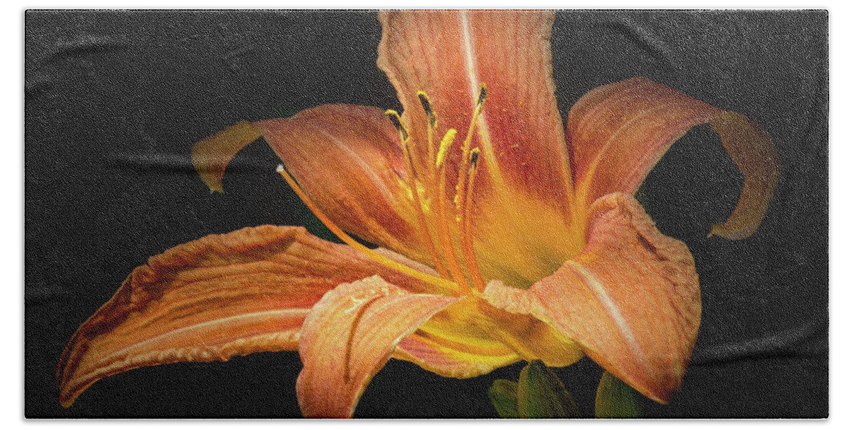 Fauna Beach Towel featuring the photograph Tiger Lily by Richard Macquade