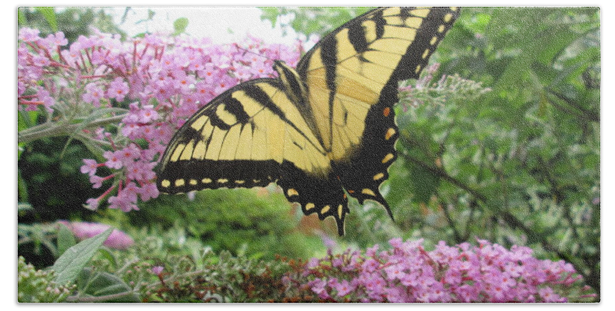 Butterflies Beach Sheet featuring the photograph Tiger Swallowtail by Bill OConnor