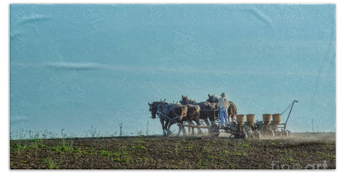 Planting Beach Towel featuring the photograph To Every Season by David Arment