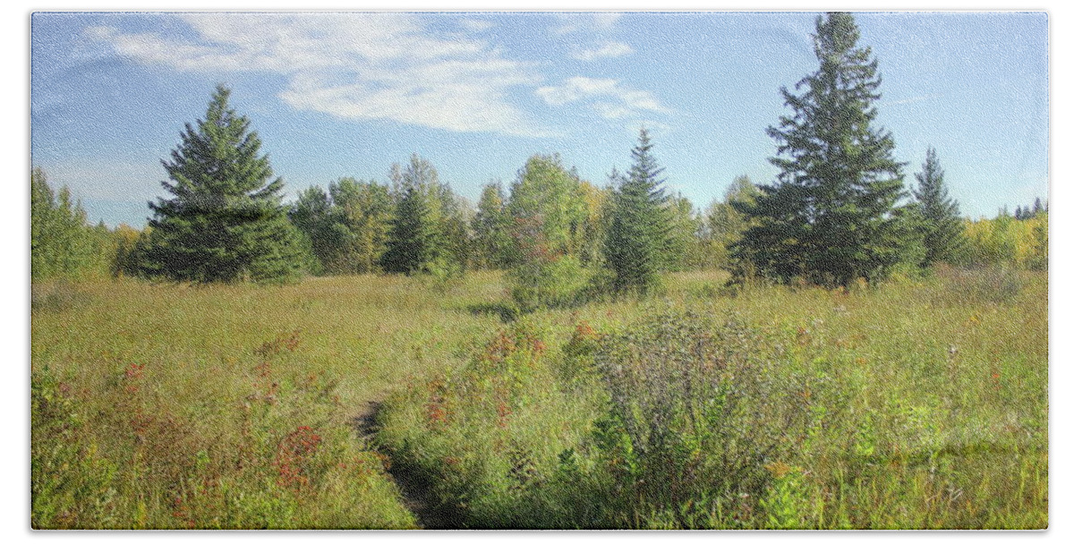 Meadow Beach Sheet featuring the photograph Trail in September Meadow by Jim Sauchyn