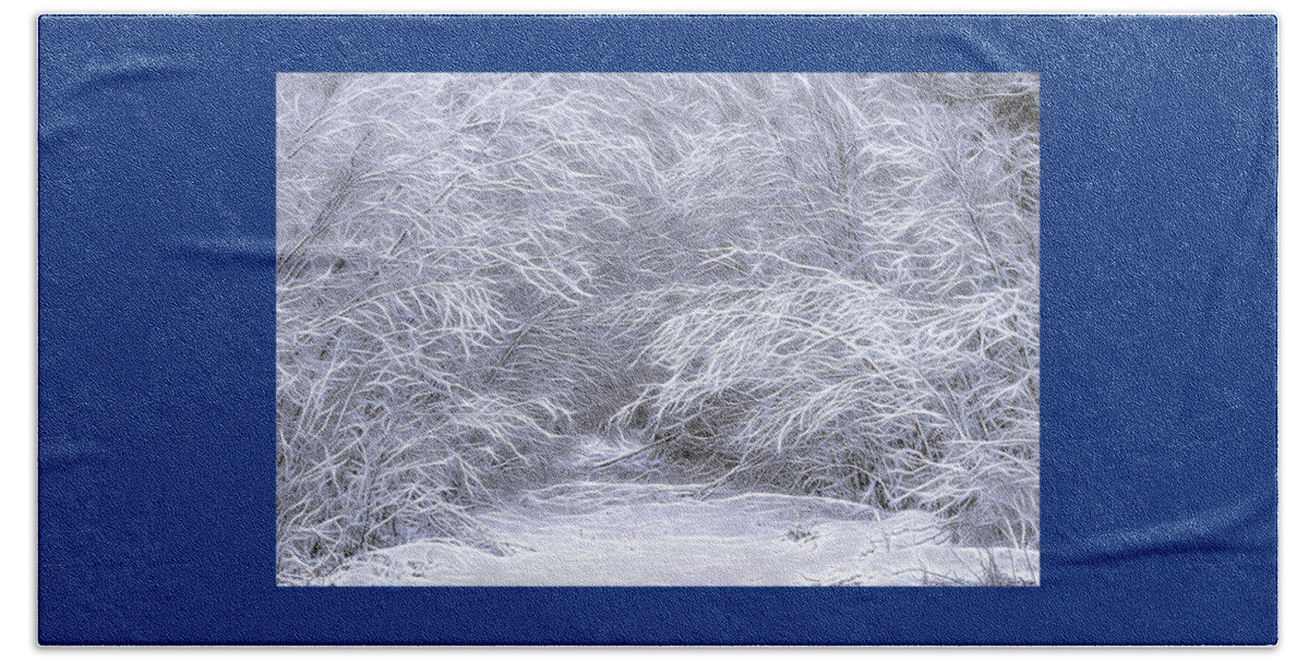 Trailhead Snowscape Beach Towel featuring the photograph Trailhead Snowscape by Marty Saccone