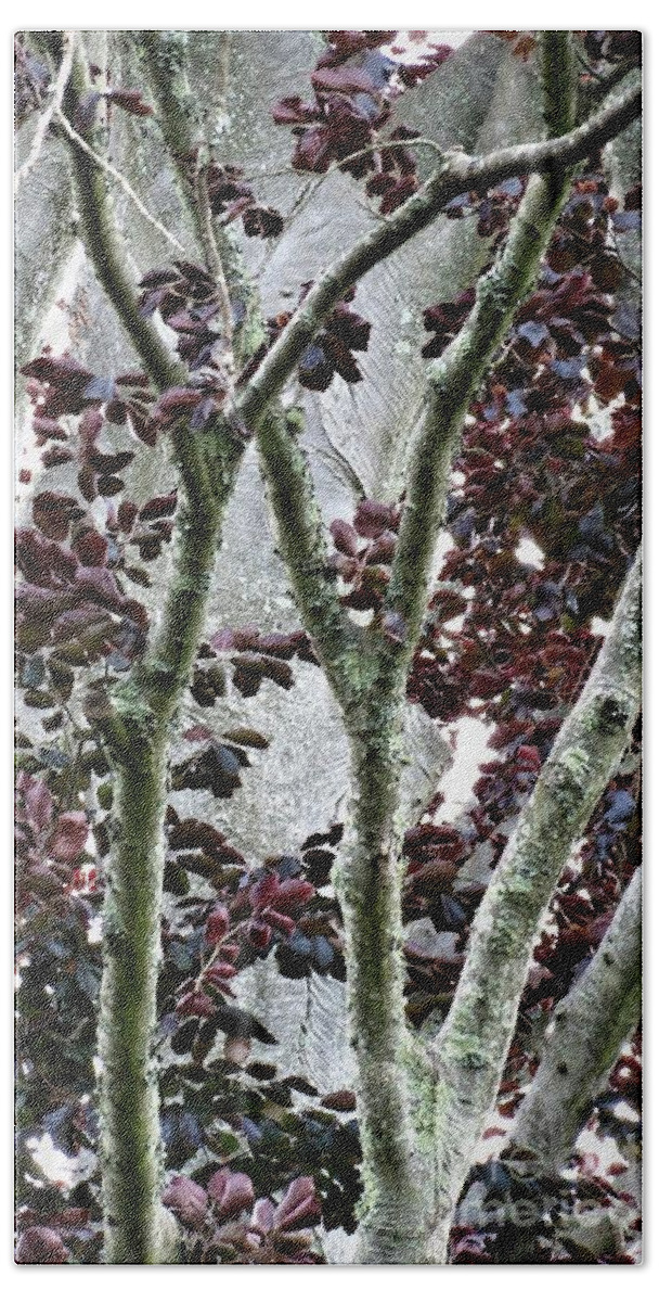 Purple Beech Tree Beach Towel featuring the photograph Tree Beauty by Anita Adams