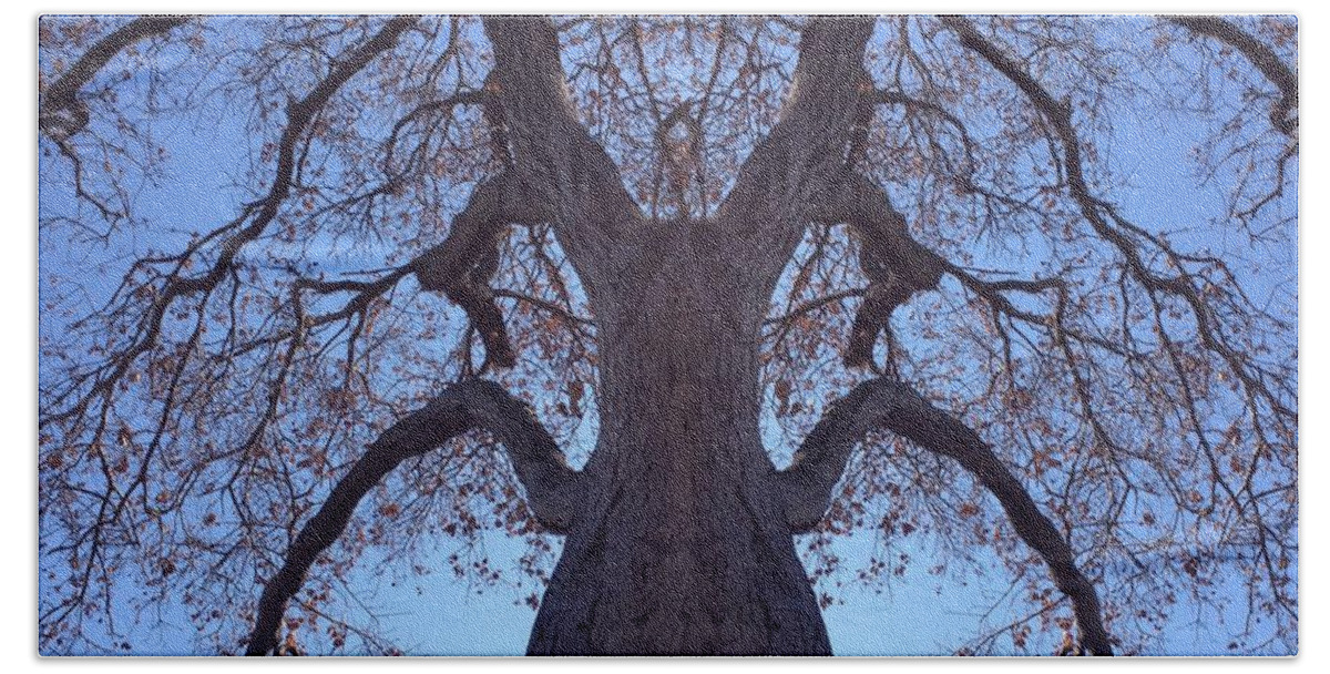 Creature Beach Towel featuring the photograph Tree Creature by Nora Boghossian