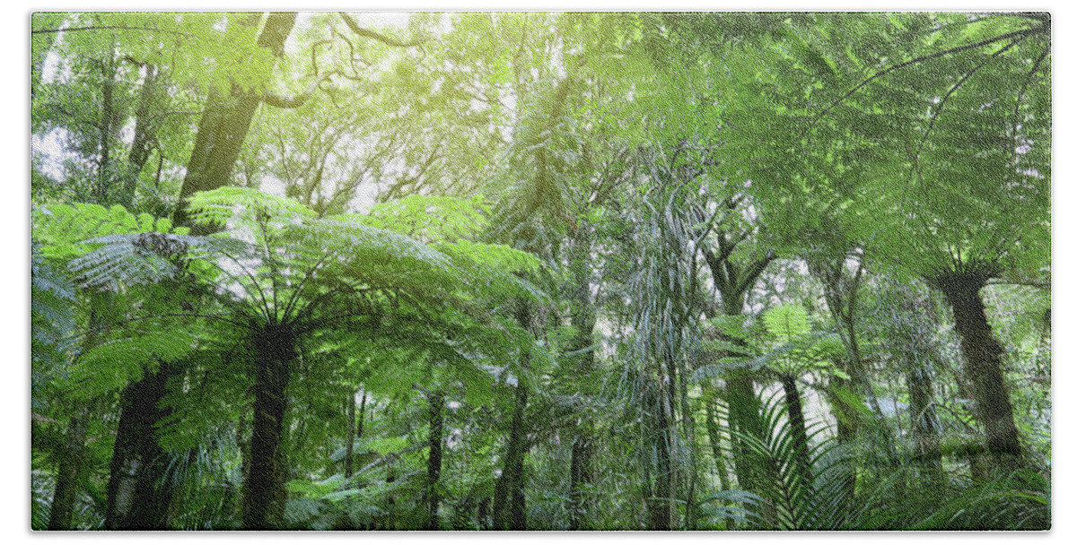 Rain Forest Beach Towel featuring the photograph Tree ferns in jungle by Les Cunliffe