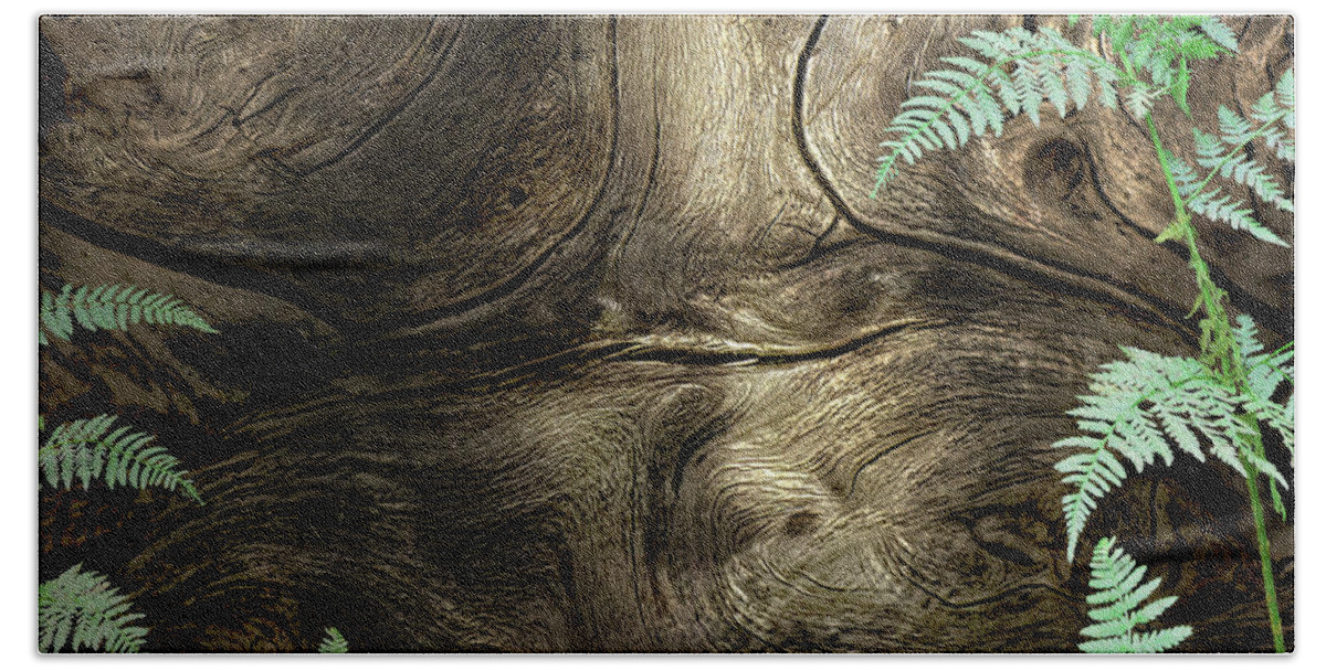 Trees Beach Towel featuring the photograph Tree Memories # 32 by Ed Hall