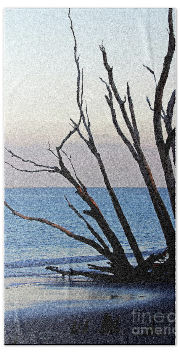 Trees Beach Towel featuring the photograph Tree on Boneyard Beach by Jennifer Robin