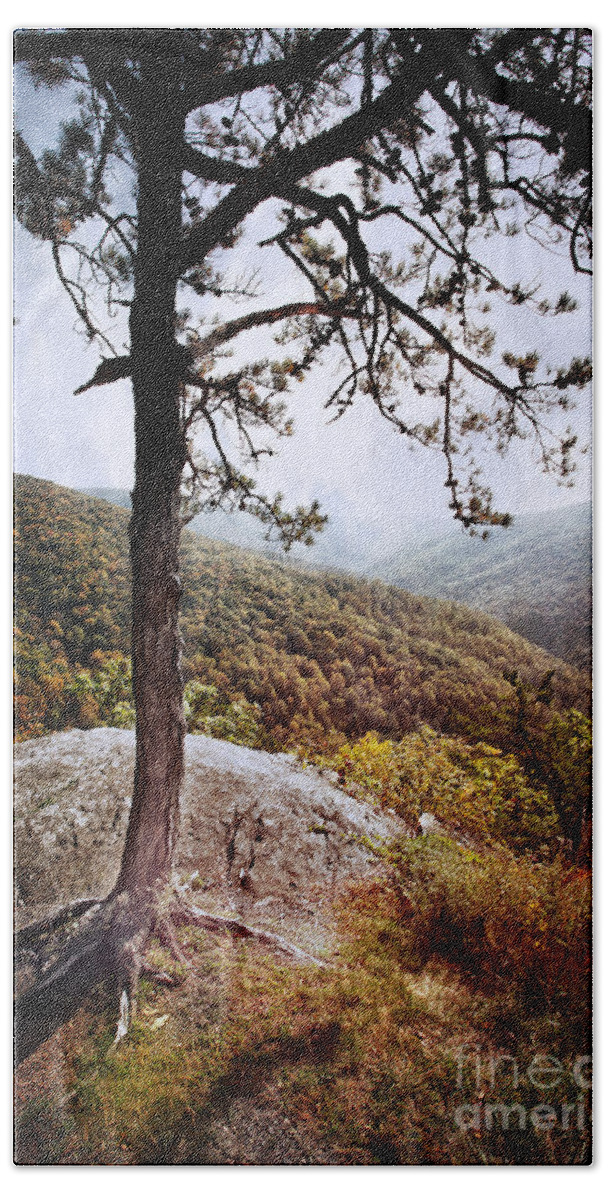 Landscape Beach Towel featuring the photograph Tree On The Mountain by Tom Gari Gallery-Three-Photography