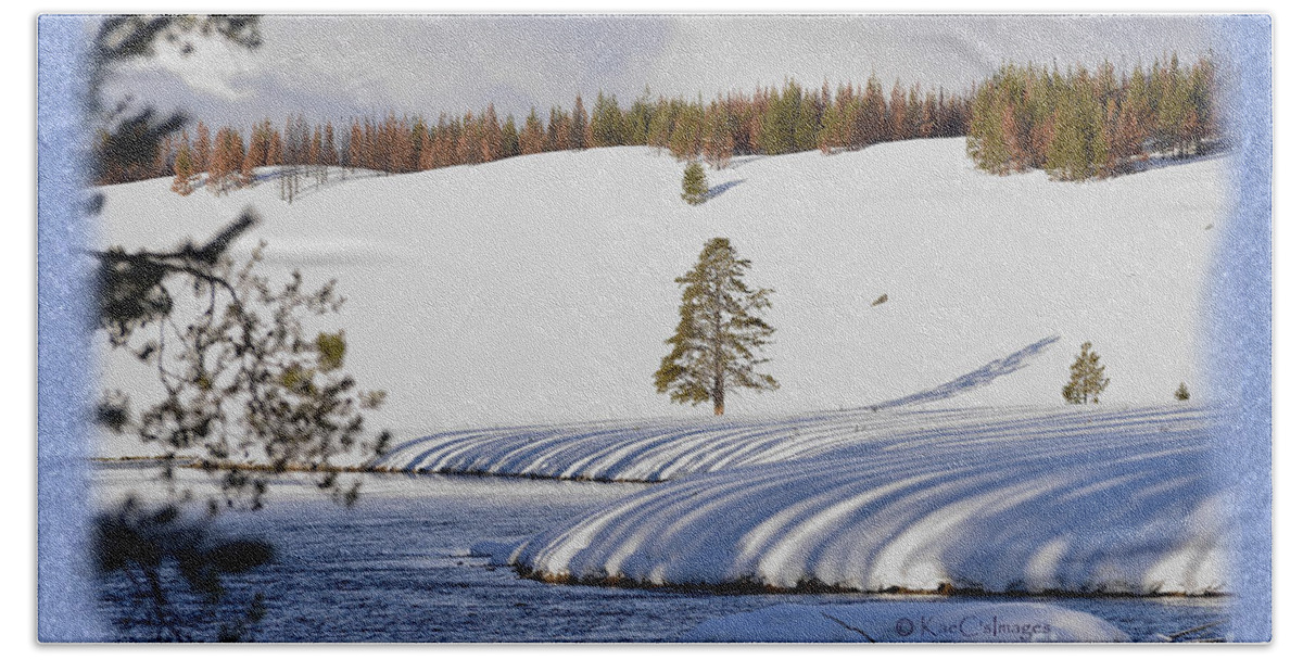 Yellowstone National Park Beach Towel featuring the photograph Tree Shadows along the Madison by Kae Cheatham