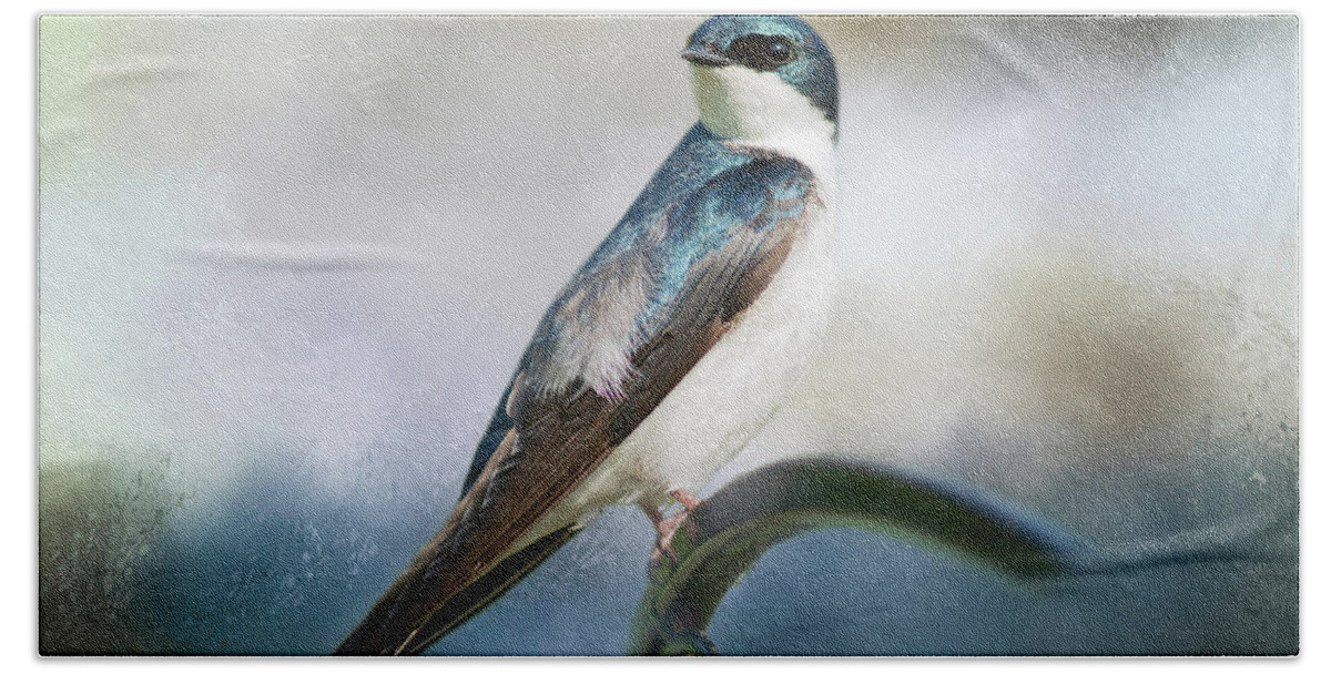 Birds Beach Towel featuring the photograph Tree Swallow by Cindi Ressler
