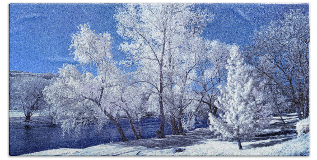 Infrared Photography Beach Towel featuring the photograph Trees Along the Krka by Norman Gabitzsch