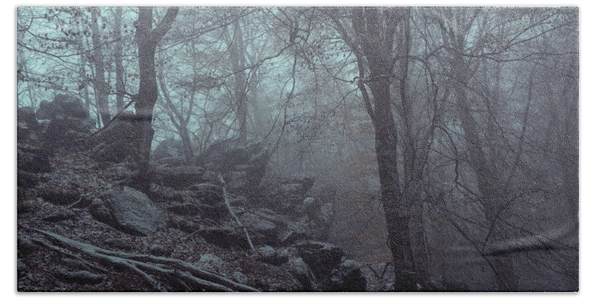 Jenny Rainbow Fine Art Photography Beach Towel featuring the photograph Trees and Rocks in Misty Woods by Jenny Rainbow