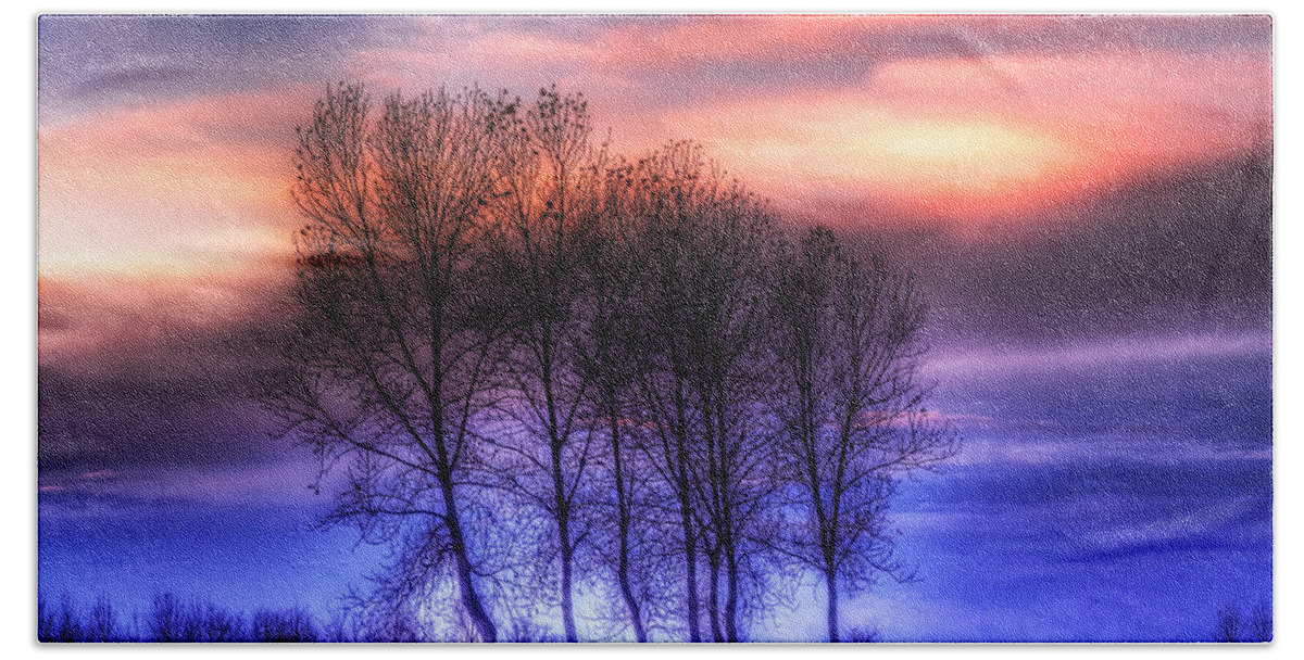 Countryscape Beach Sheet featuring the photograph Trees and twilight by Roberto Pagani