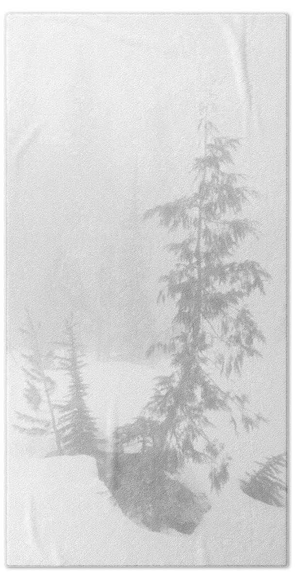 Tree Beach Sheet featuring the photograph Trees in Fog Monochrome by Tim Newton