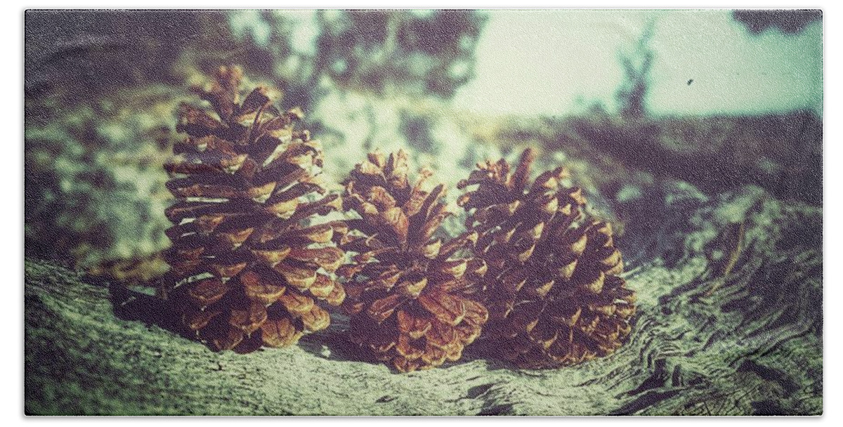 Pinecone Beach Sheet featuring the photograph Tres by Mark Ross