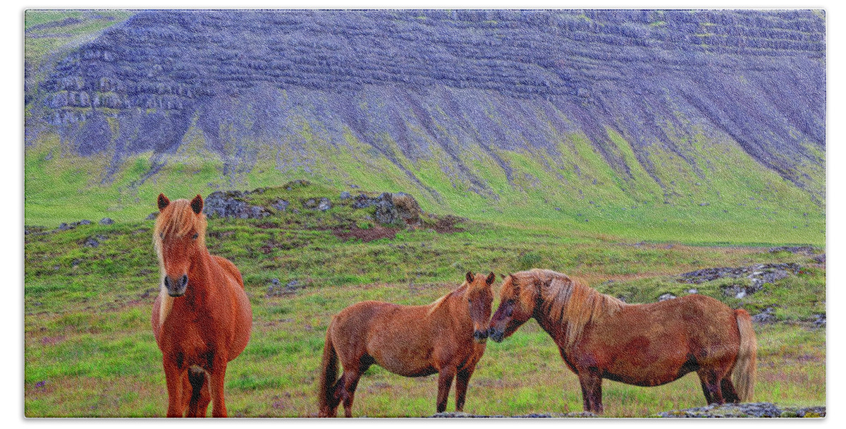Horse Beach Sheet featuring the photograph Triple Horses by Scott Mahon
