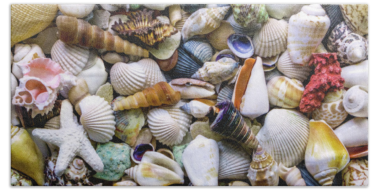 1500a Beach Towel featuring the photograph Tropical Beach Seashell Treasures 1500A by Ricardos Creations