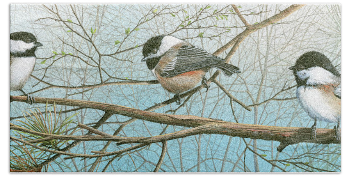 Black Capped Chickadee Beach Sheet featuring the painting Troublesome Trio by Mike Brown