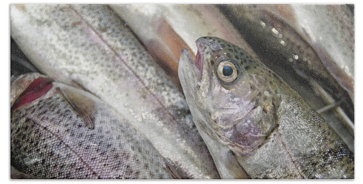 Fish Beach Towel featuring the photograph Trout for dinner by Debra Baldwin