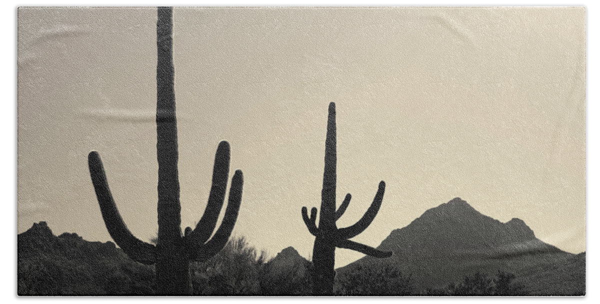 Landscape Beach Towel featuring the photograph Tucson IV Toned by David Gordon