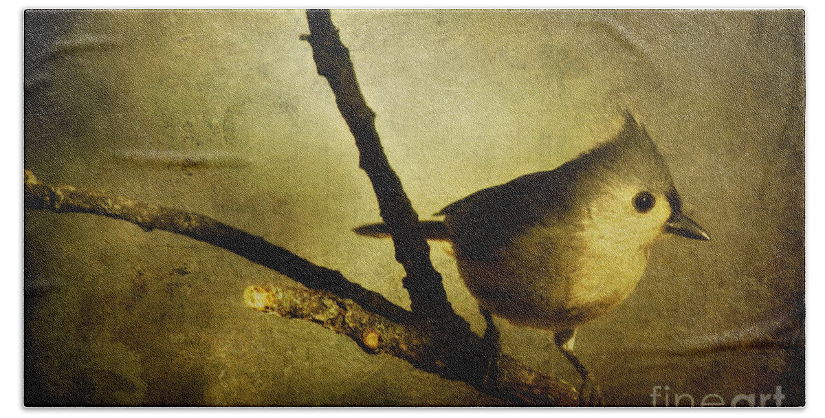 backyard Birds Beach Towel featuring the photograph Tufted Titmouse - Weathered by Lana Trussell