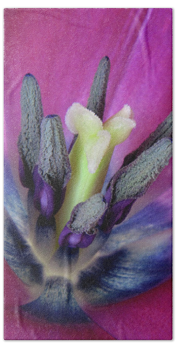 Close Up Beach Sheet featuring the photograph Tulip Intimacy by David and Carol Kelly