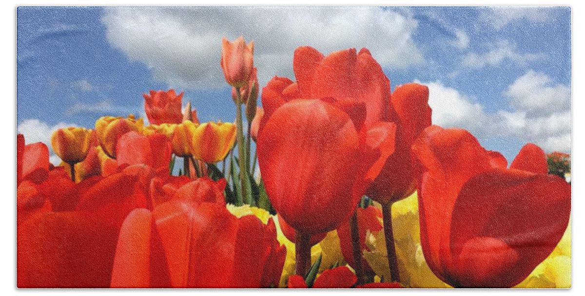 Tulip Beach Sheet featuring the photograph Tulips In The Sky by Brian Eberly