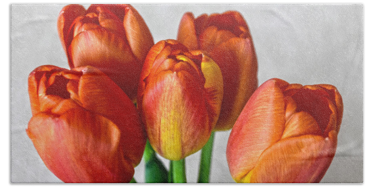 Tulips Beach Towel featuring the photograph Tulips Showing Off by Sandi OReilly