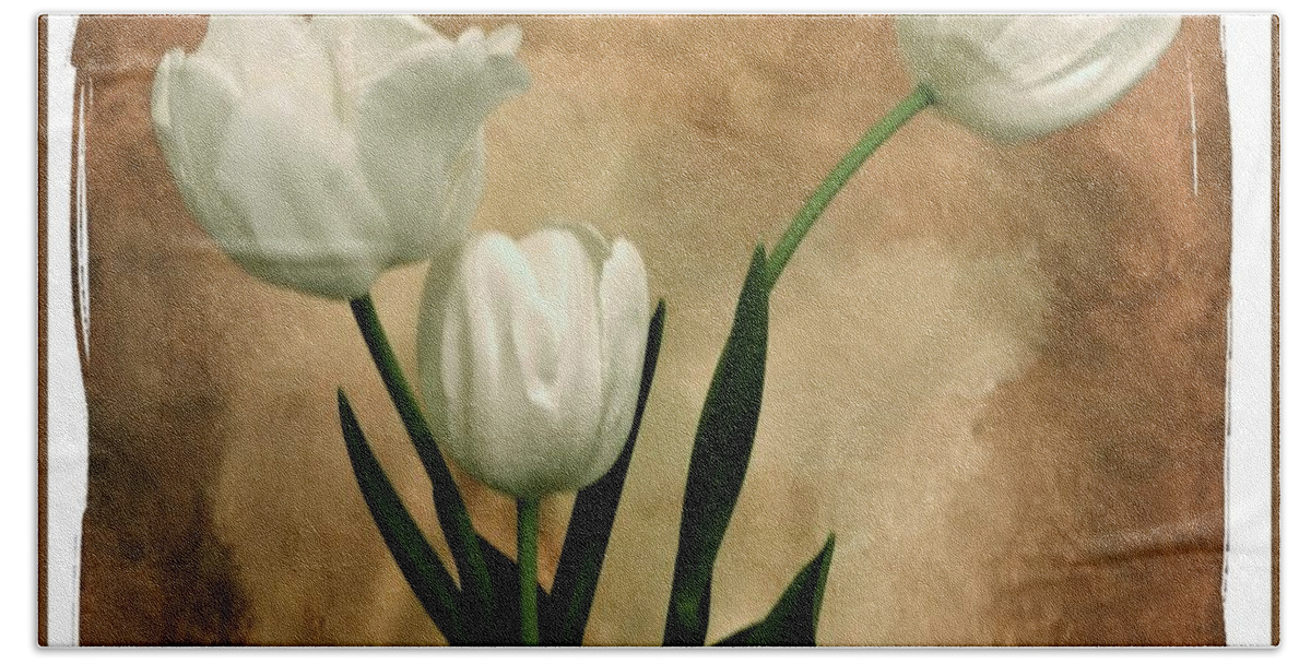 Photo Beach Towel featuring the photograph Tulips Three by Marsha Heiken