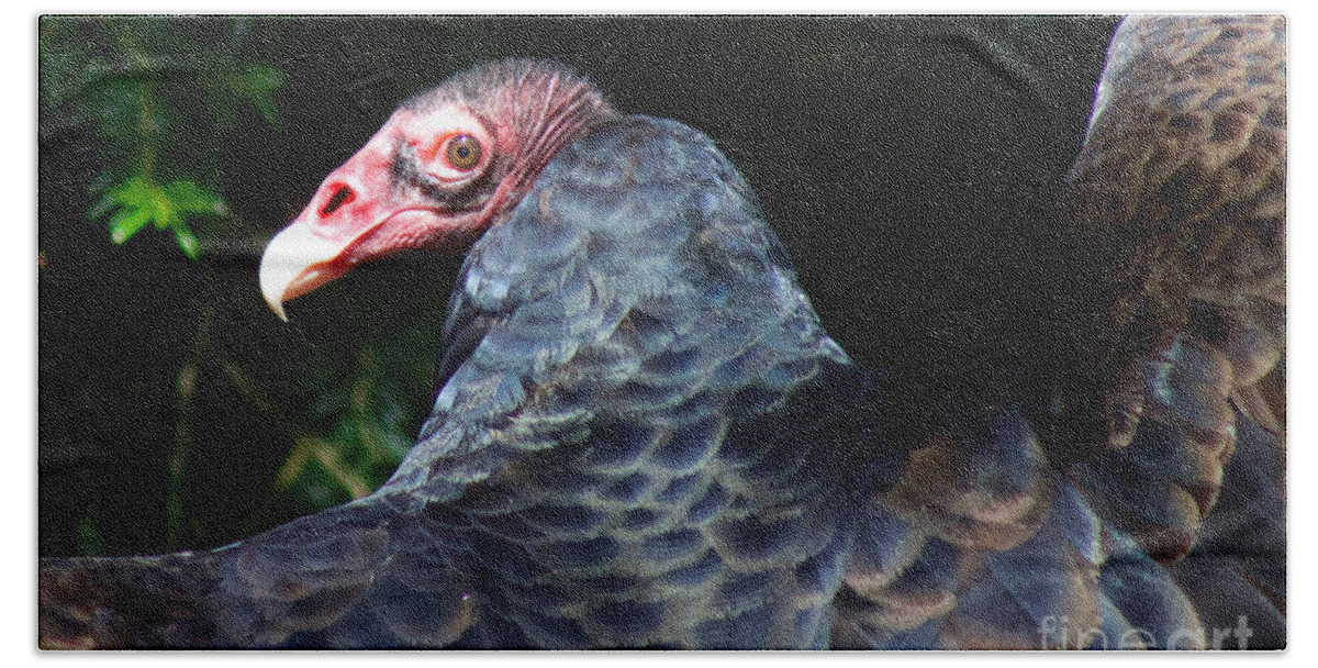 Photography Beach Towel featuring the photograph Turkey Vulture by Sean Griffin