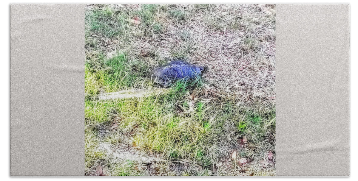 Turtle Beach Towel featuring the photograph Turtle Crossing by Suzanne Berthier