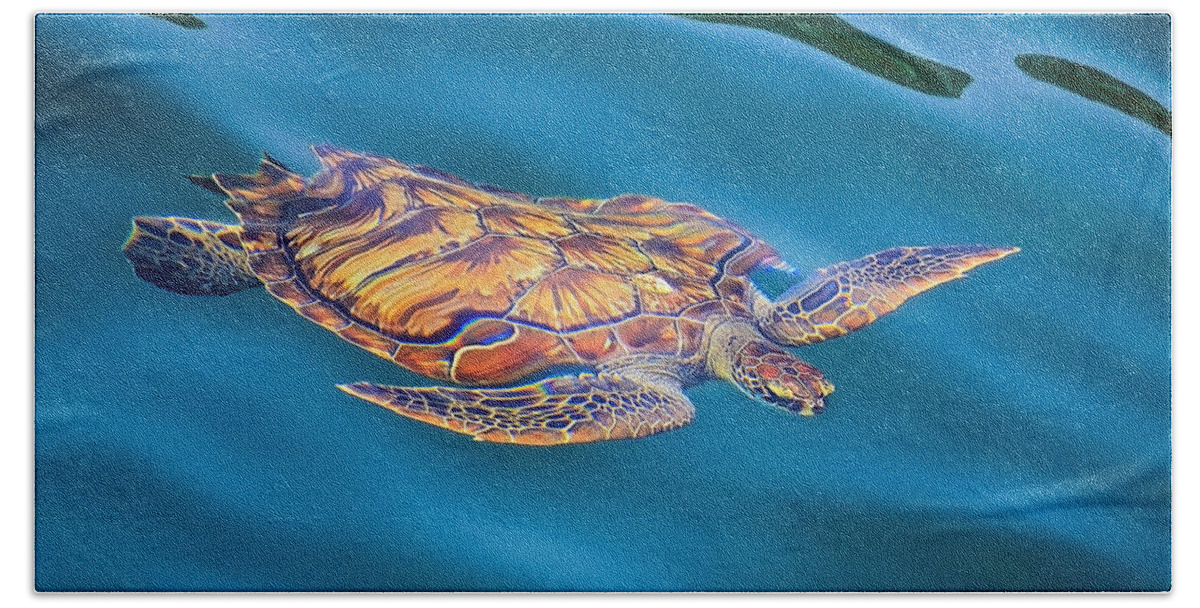 Turtle Beach Towel featuring the photograph Turtle up by Peter Kennett
