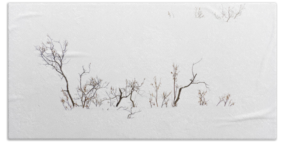 Twigs Beach Sheet featuring the photograph Twigs in Snow by Bryan Carter
