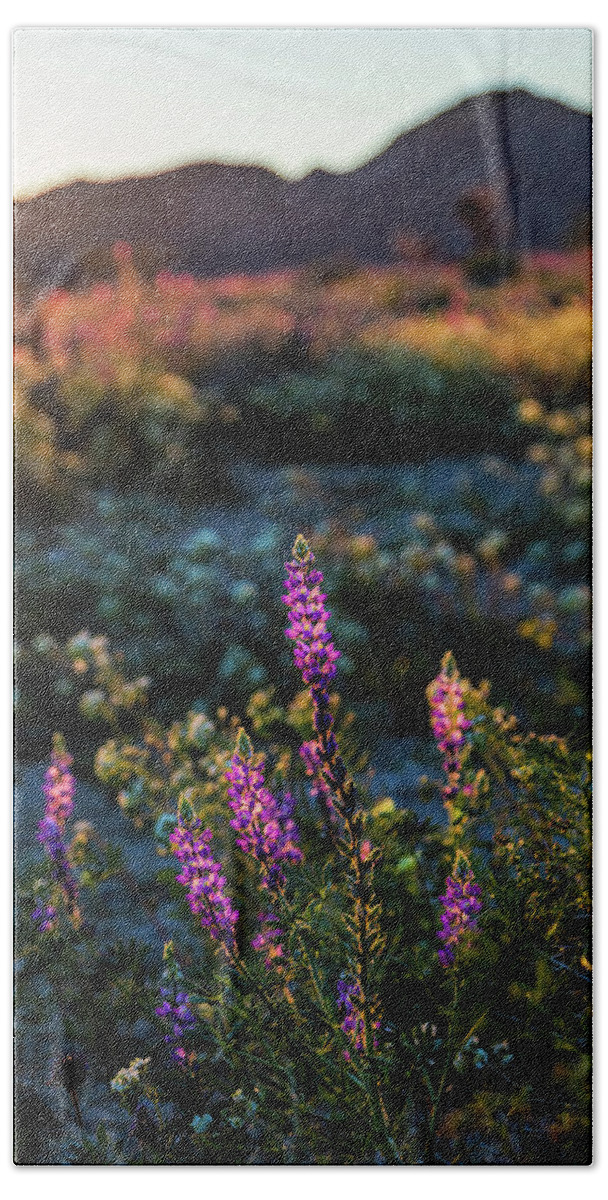 Landscape Beach Towel featuring the photograph Twilight Lupine by Laura Roberts