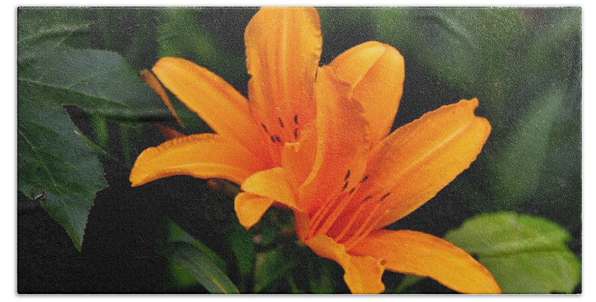 Lily Beach Towel featuring the photograph Twin Lillies by Eileen Brymer