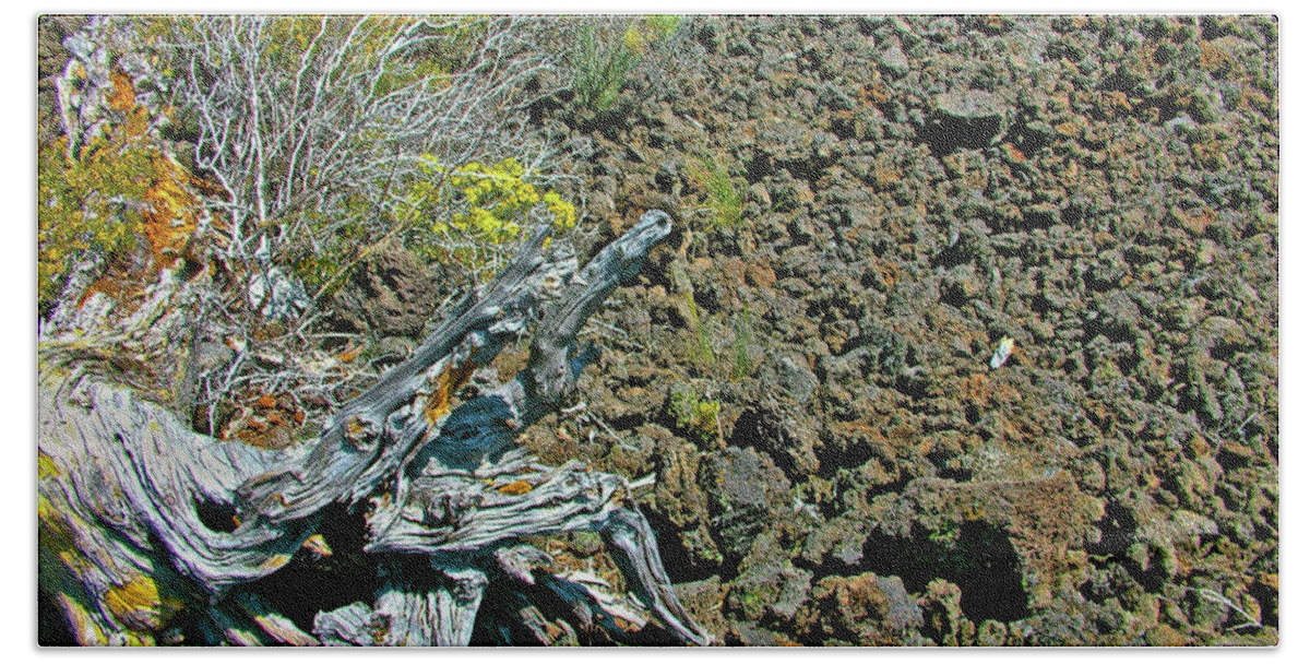 Twisted Stump And Aa Lava Beach Towel featuring the photograph Twisted Stump and Aa Lava, Trail of the Molten Land in Newberry National Volcanic Monument, Oregon by Ruth Hager
