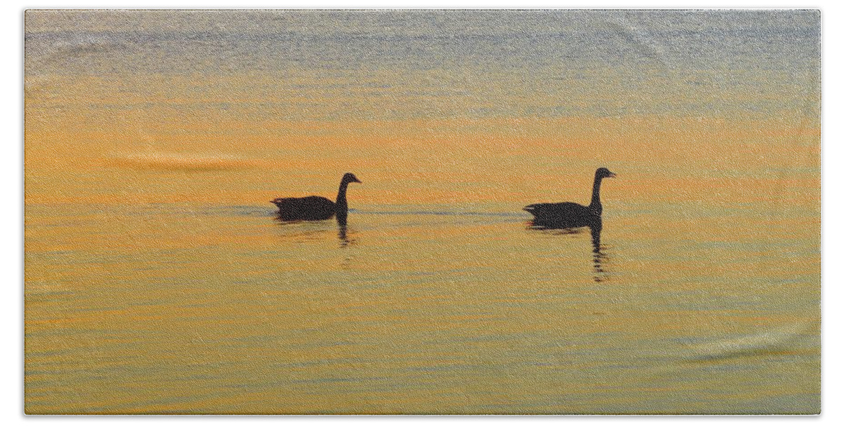 Abstract Beach Towel featuring the digital art Two Canadian Geese by Lyle Crump