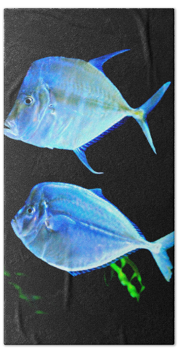 Fish Beach Towel featuring the photograph Two Fish Blue Fish by Diana Angstadt