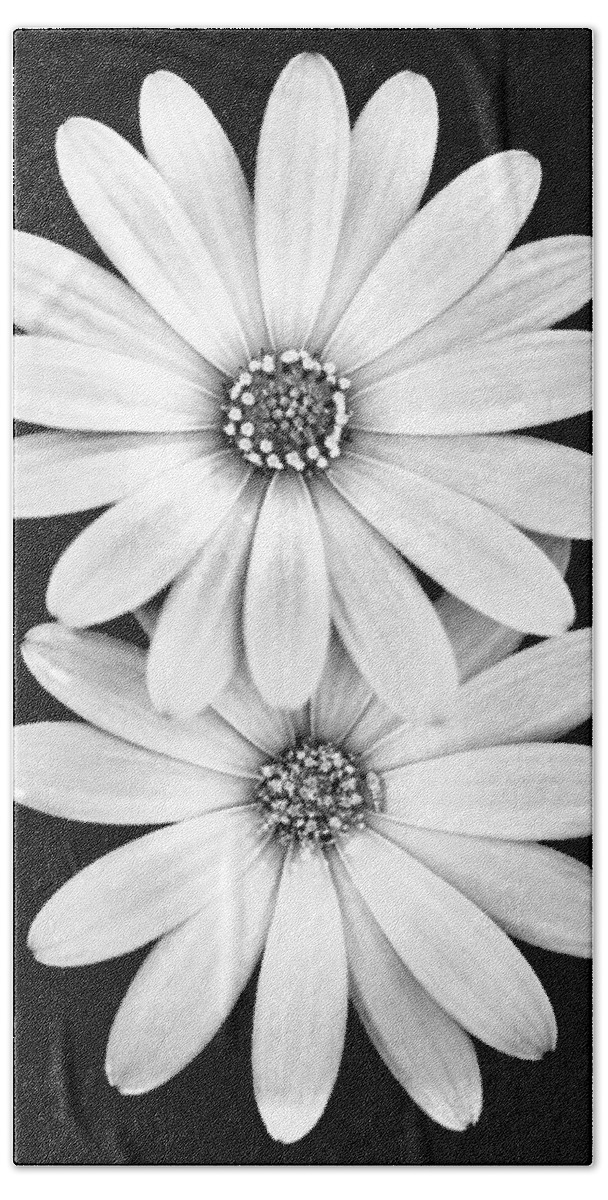Black And White Spring Flowers Beach Towel featuring the photograph Two Flowers by Az Jackson
